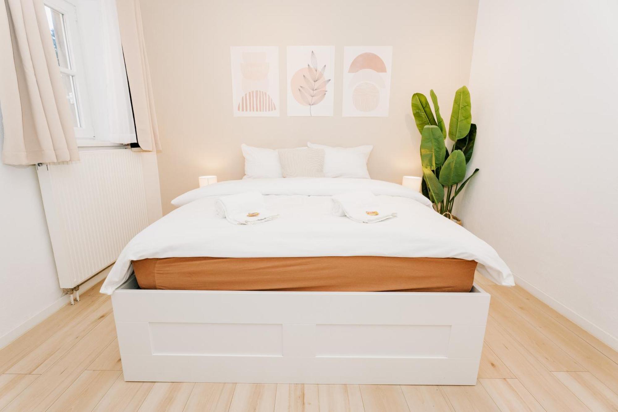מונסטר City-Apartment Kreuzviertel-Laedchen-60 Qm מראה חיצוני תמונה